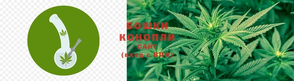 СК Михайлов