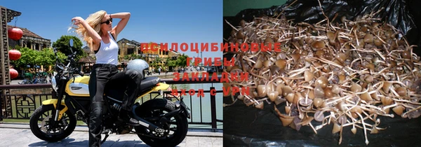 СК Михайлов
