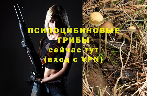 mix Надым