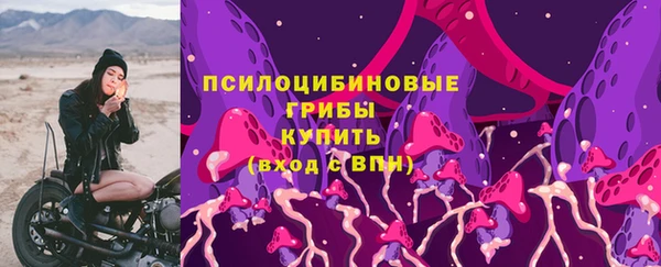 круглые Гусь-Хрустальный