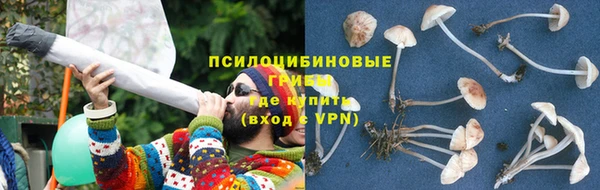 СК Михайлов