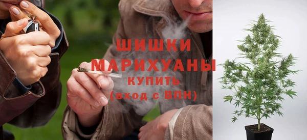 СК Михайлов
