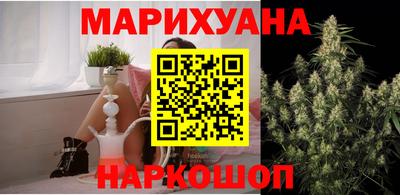 Альфа ПВП Гатчина
