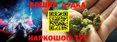 apvp Гагарин