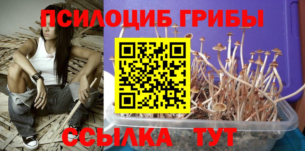Псилоцибиновые грибы прущие грибы  Псилоцибиновые грибы мухоморы  купить наркотик  Томск  Вход с VPN 